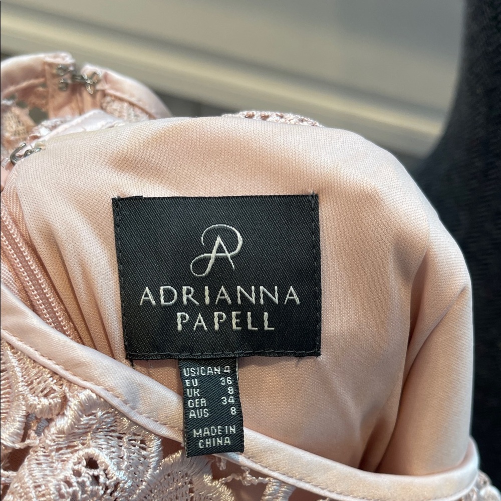 Adrianna Papell Lace Cap-Sleeve Illusion Sheath Dress Size 4 - Picture 3 of 8